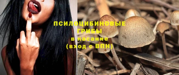 твердый Белокуриха